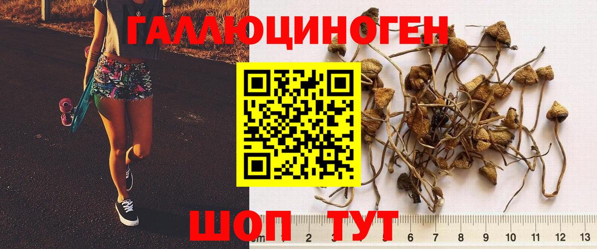 Галлюциногенные грибы ЛСД Черногорск