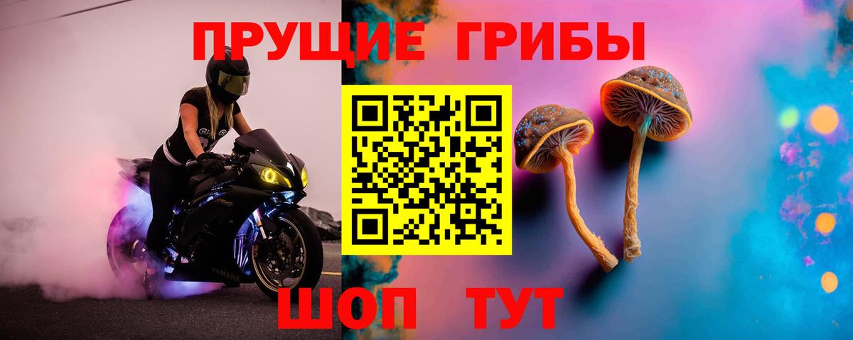 Черногорск  Псилоцибиновые грибы Psilocybe  Вход с VPN 